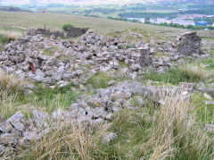 The ruins of Coity Ganol, Forgeside, Blaenavon, June 2010